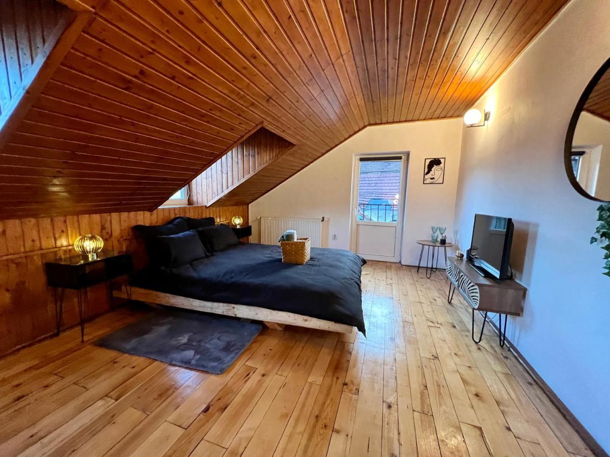 Nacada Studio By Hyco Apartment Сигишоара Екстериор снимка