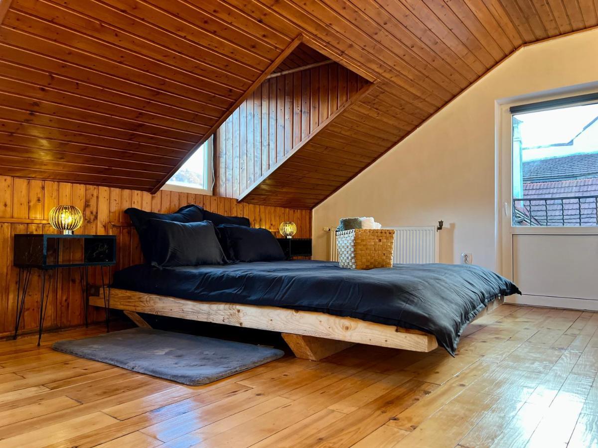 Nacada Studio By Hyco Apartment Сигишоара Екстериор снимка