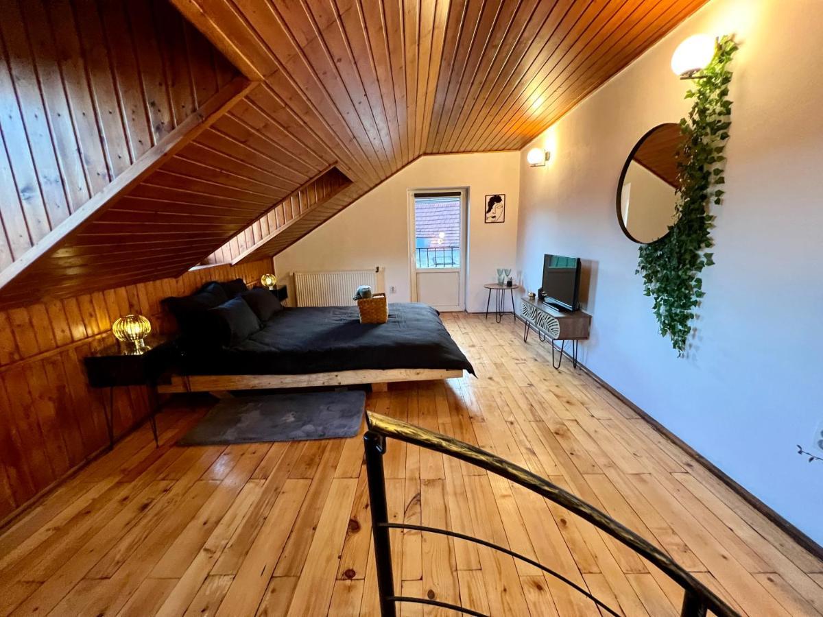 Nacada Studio By Hyco Apartment Сигишоара Екстериор снимка