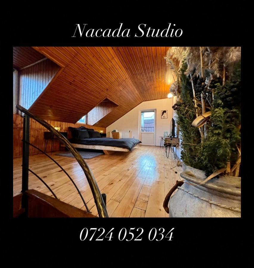 Nacada Studio By Hyco Apartment Сигишоара Екстериор снимка