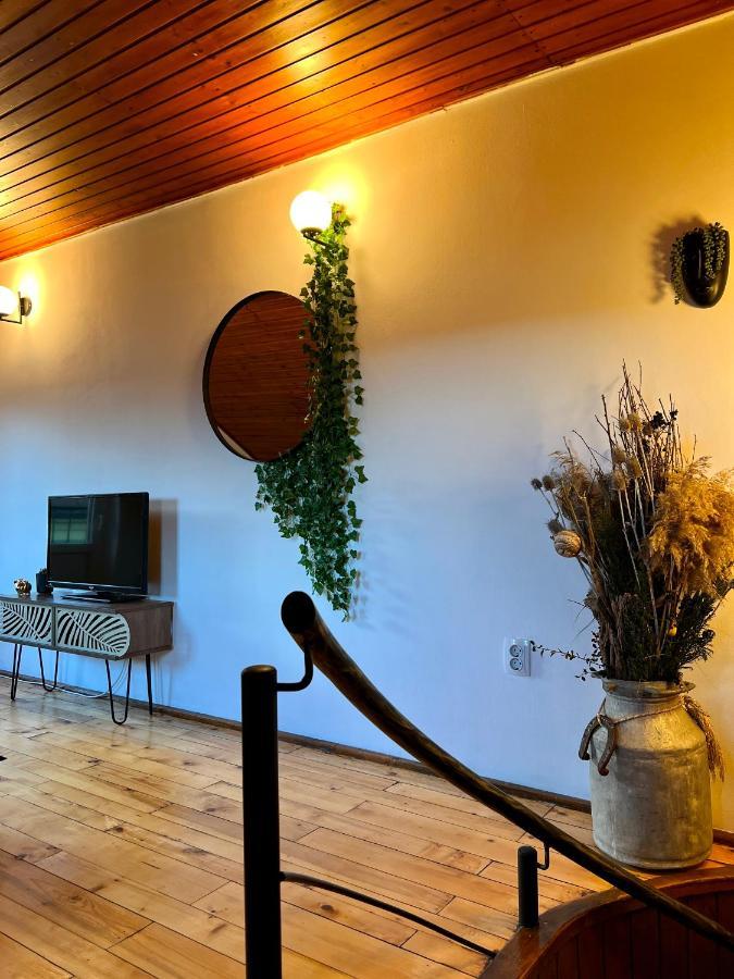 Nacada Studio By Hyco Apartment Сигишоара Екстериор снимка