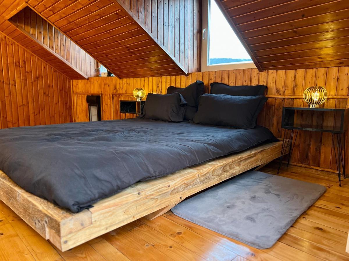 Nacada Studio By Hyco Apartment Сигишоара Екстериор снимка
