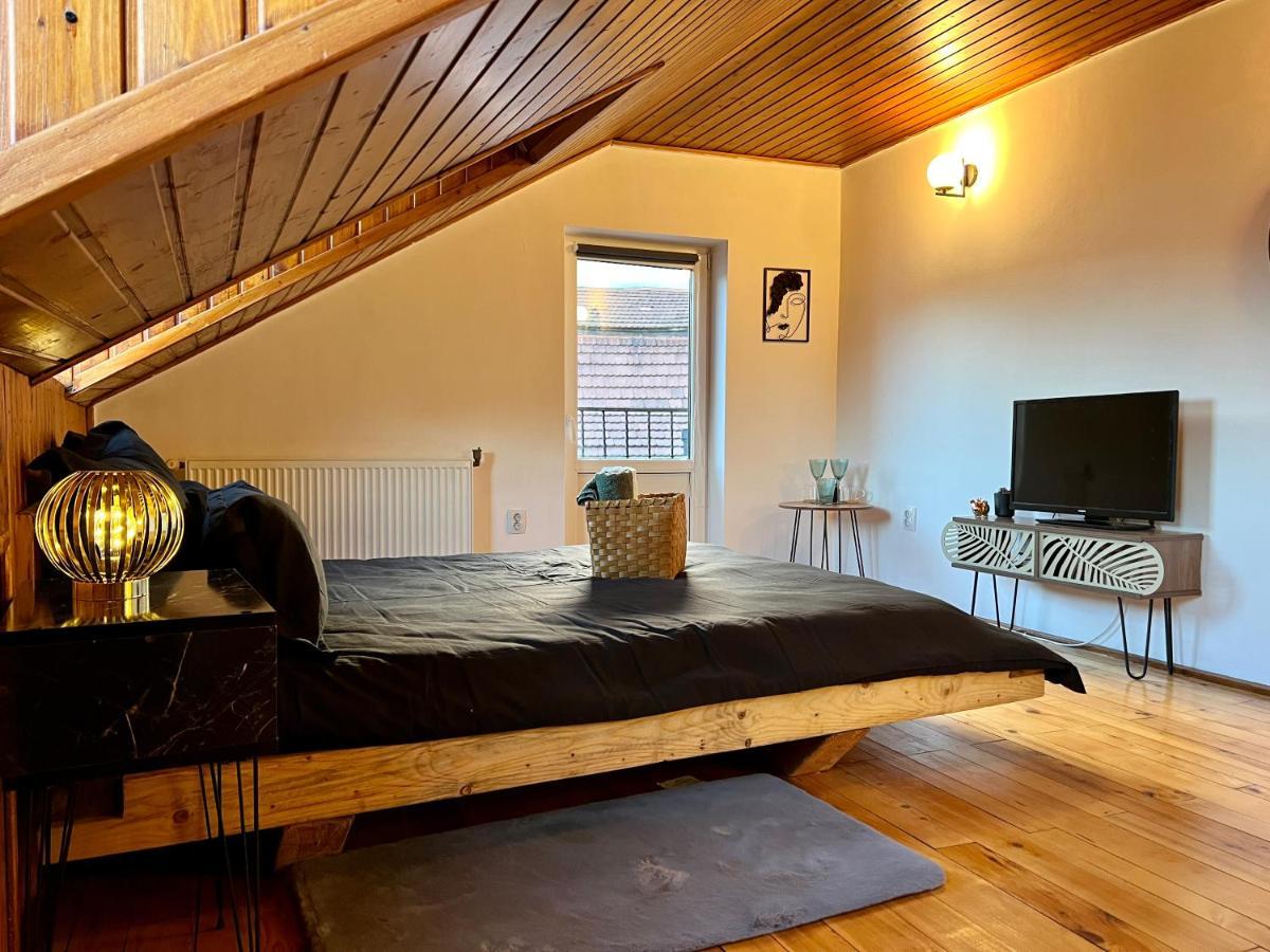 Nacada Studio By Hyco Apartment Сигишоара Екстериор снимка