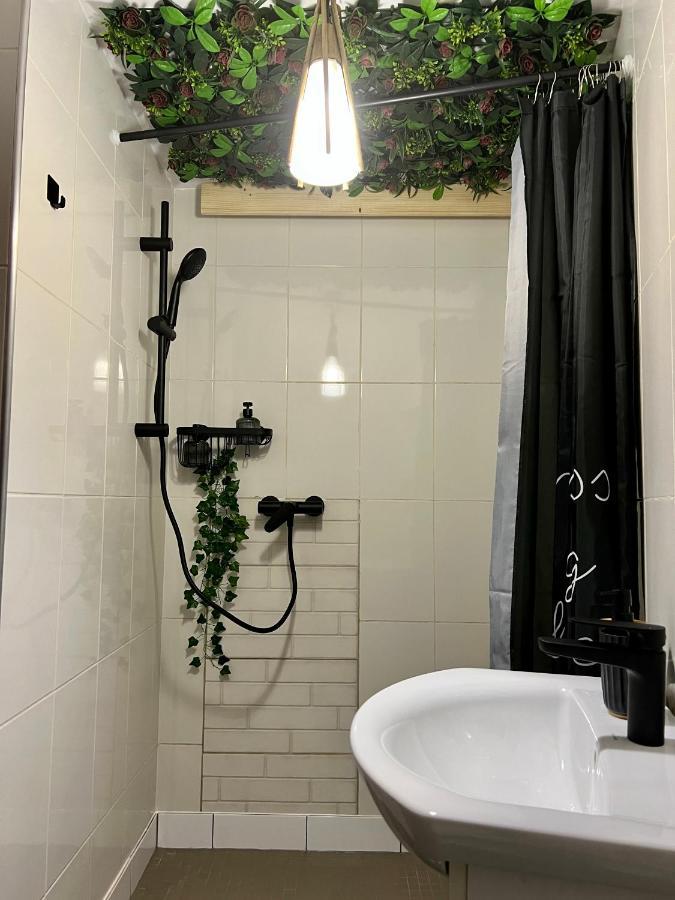 Nacada Studio By Hyco Apartment Сигишоара Екстериор снимка